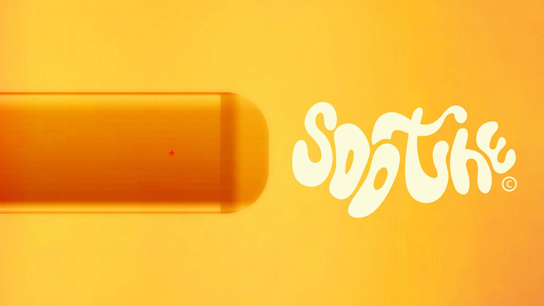 Ripple+ Project Preview